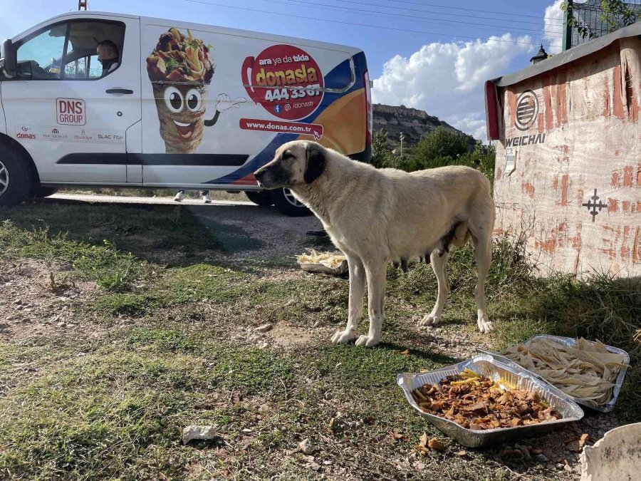 Eskişehirli Firmadan Sokak Hayvanlarına Özel Gün Yemeği