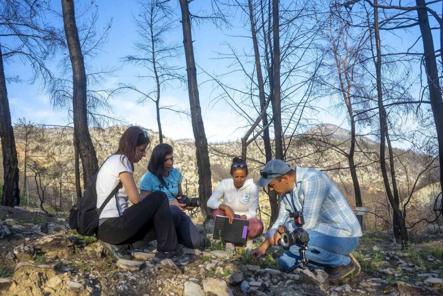 Türkiye Tarihinin En Büyük Yangını Saman Orkidesi Türünü Yok Etti