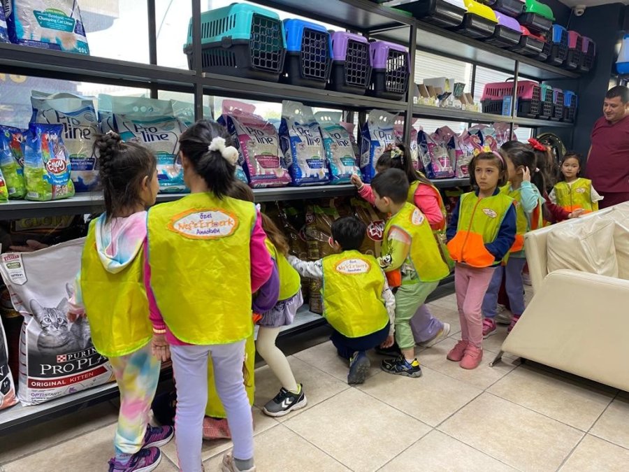 Anaokulu Öğrencileri Hayvan Sevgisiyle Yetişiyor