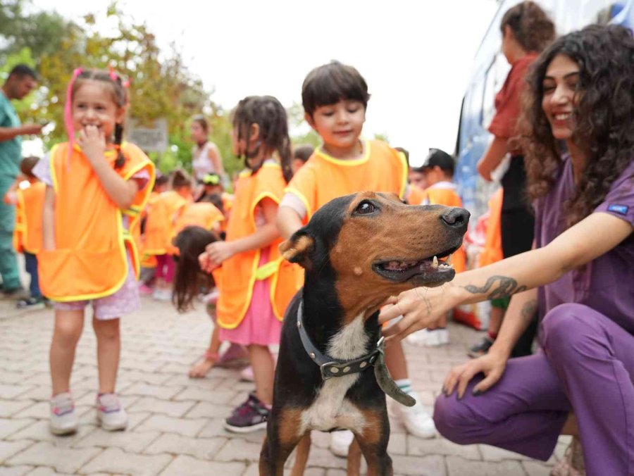 Minikler, Hayvan Dostlarıyla Bir Araya Geldi