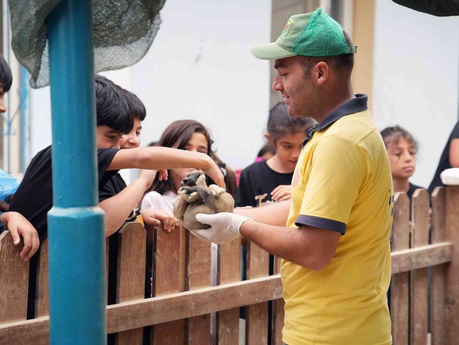Minikler, Hayvan Dostlarıyla Bir Araya Geldi