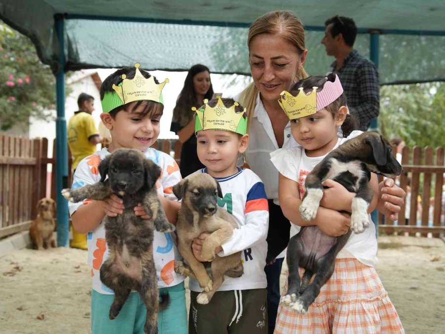 Minikler, Hayvan Dostlarıyla Bir Araya Geldi