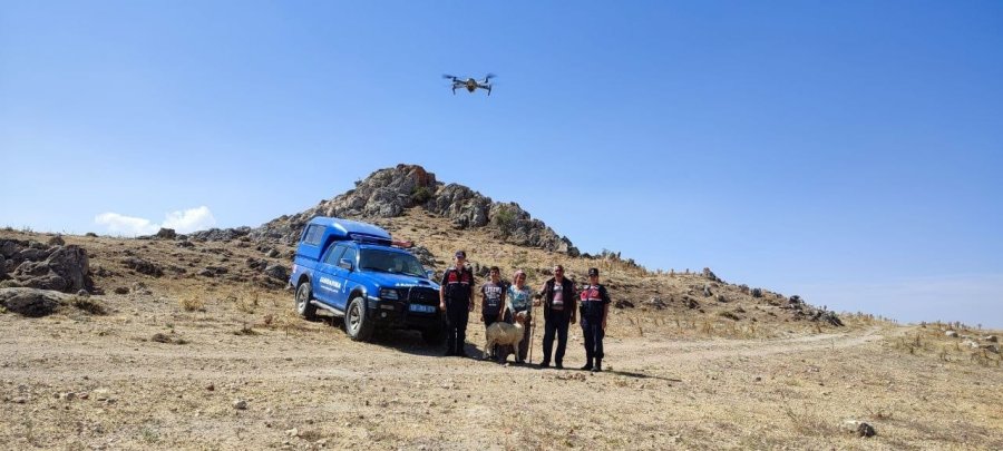 Jandarma, Kaybolan 12 Koyunu Dron İle Buldu