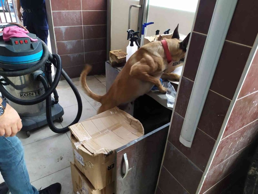 Jandarmadan Zehir Tacirlerine ’beyaz Kelebek’ Operasyonu: 16 Gözaltı