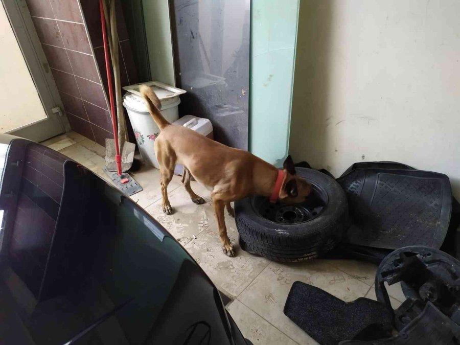 Jandarmadan Zehir Tacirlerine ’beyaz Kelebek’ Operasyonu: 16 Gözaltı