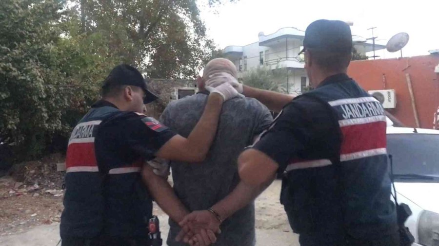 Jandarmadan Zehir Tacirlerine ’beyaz Kelebek’ Operasyonu: 16 Gözaltı