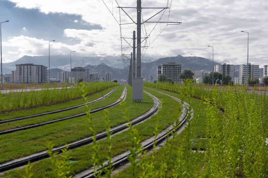 Başkan Büyükkılıç: “tramvay Hattına 120 Bin Adet Fidan Dikiyoruz”