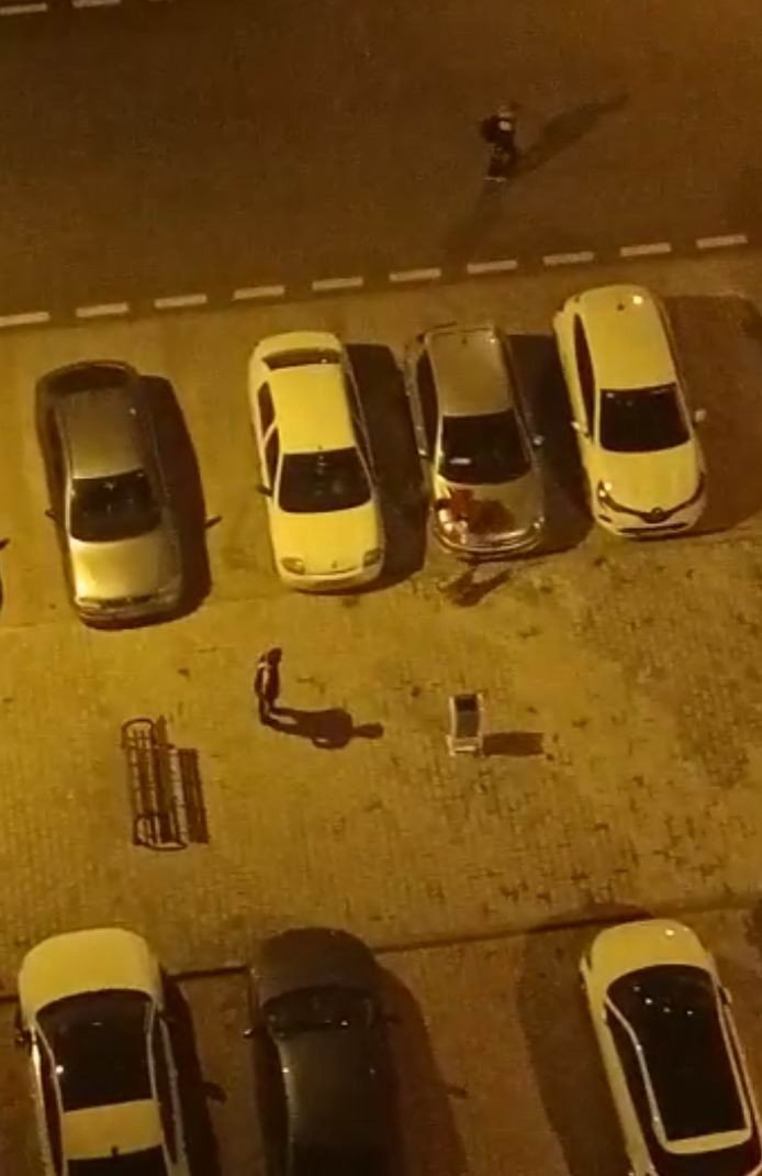 Köpeği Çocukların Üstüne Saldı, Korkan Çocuk Otomobilin Üstüne Çıktı