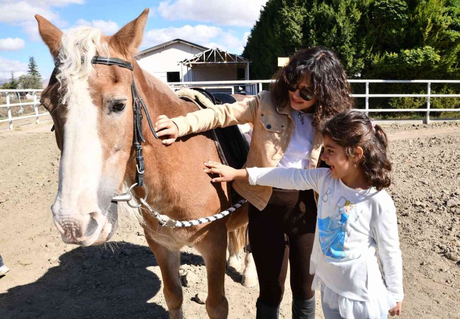 At Binme Heyecanı Tepebaşı’nda