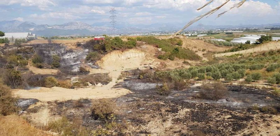 Antalya’da Makilik Alanda Yangın