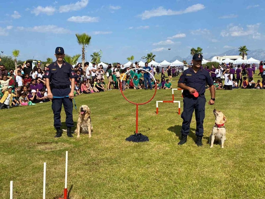 Geleceğin Bilimcileri Festivalde Buluştu