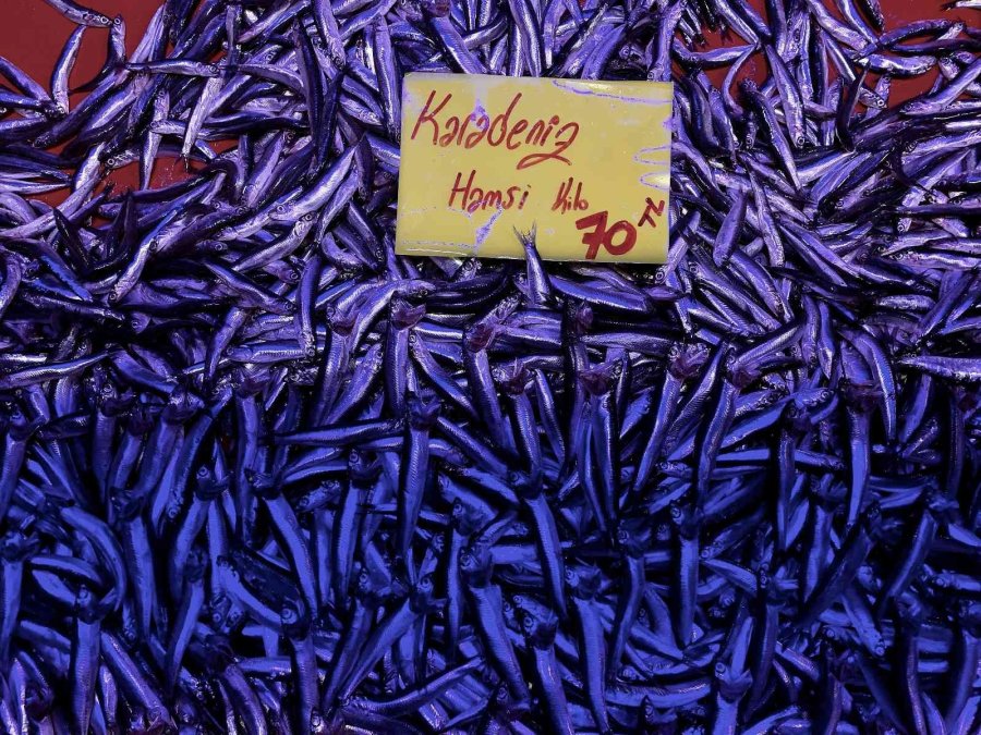 Hamsi, Balık Tezgâhlarını Süsledi