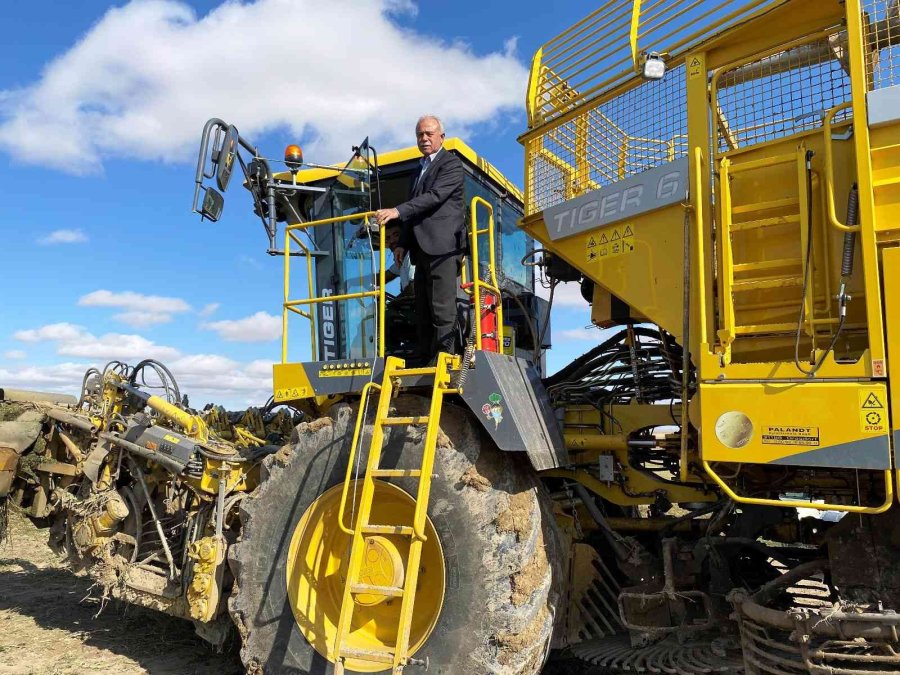 Kulu’da Şeker Pancarı Hasadı Başladı