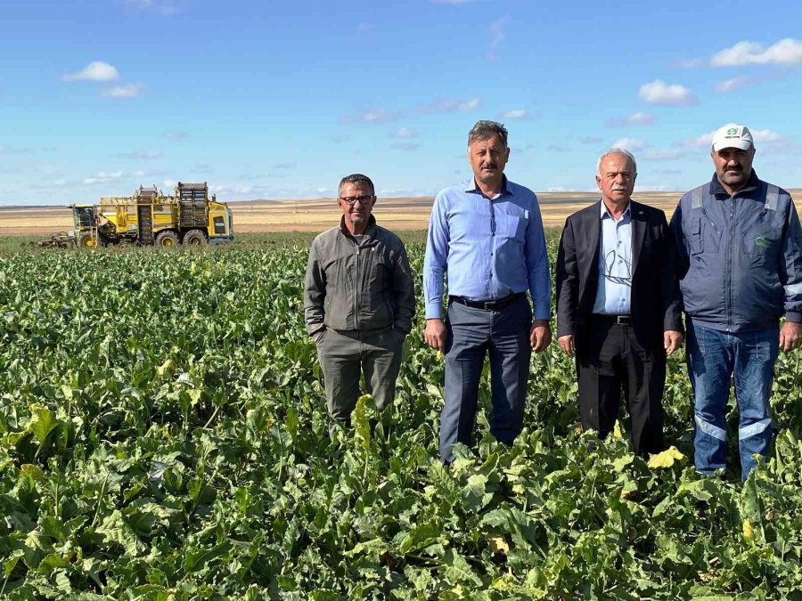 Kulu’da Şeker Pancarı Hasadı Başladı