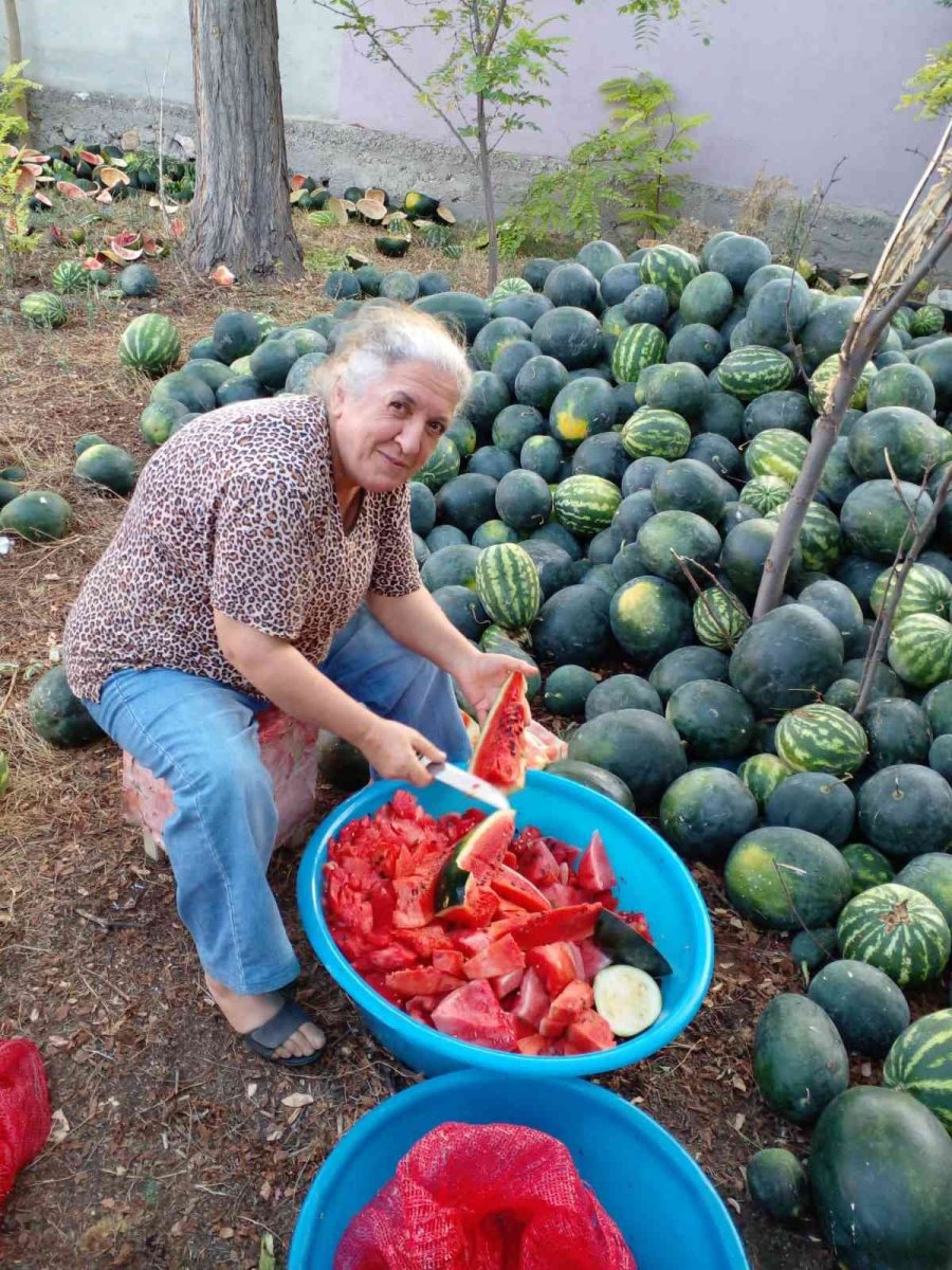 Mahmudiyeli Kadınlardan Atçılığa Destek