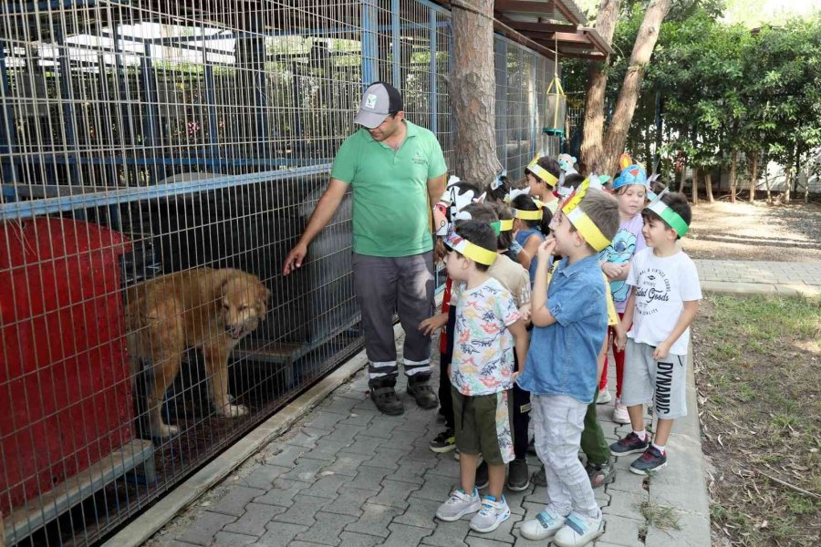 Manavgat Belediyesi’nin Kreş Öğrencileri Sokak Hayvanlarını Besledi