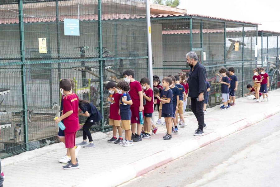 Çocuklar Patili Dostlarıyla Buluştu