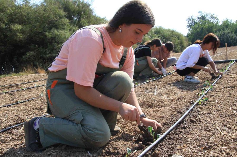 Tarım Lisesi Üretime Geçti, İlk Fideler Toprakla Buluştu