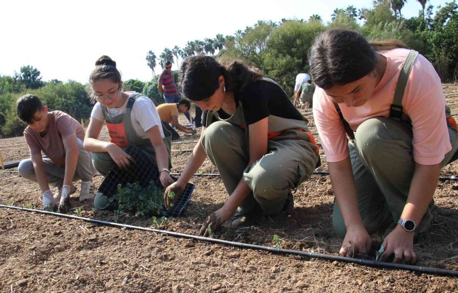 Tarım Lisesi Üretime Geçti, İlk Fideler Toprakla Buluştu
