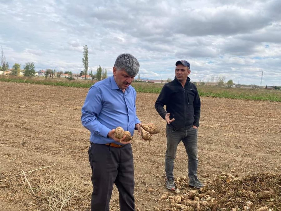 Türkiye’nin En Kaliteli Pancarında ‘fire Arttı’ İddiası