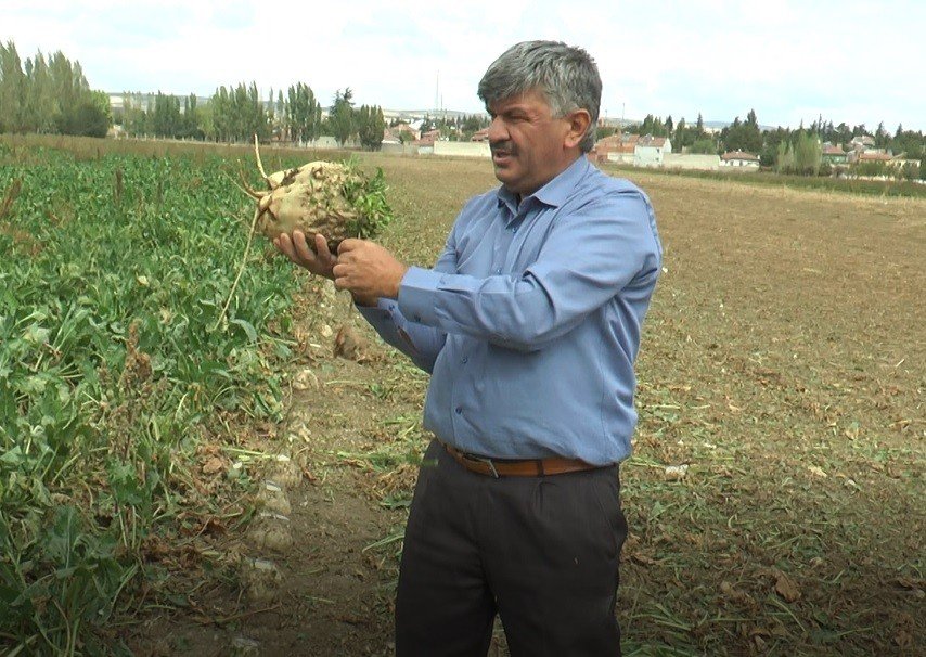 Türkiye’nin En Kaliteli Pancarında ‘fire Arttı’ İddiası
