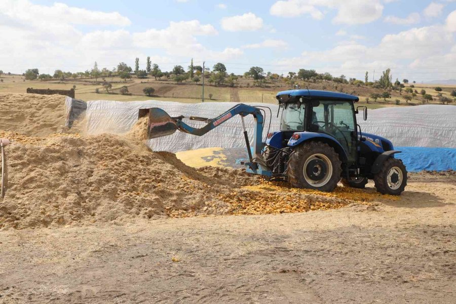 Talas’ta Yemek Posaları Yeme Dönüşüyor