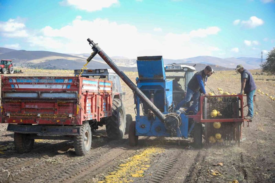 Talas’ta Yemek Posaları Yeme Dönüşüyor