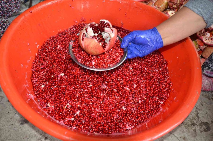 Antalyalı Kadınların Bin Bir Emekle Üretilen Nar Ekşisi Mesaisi Başladı