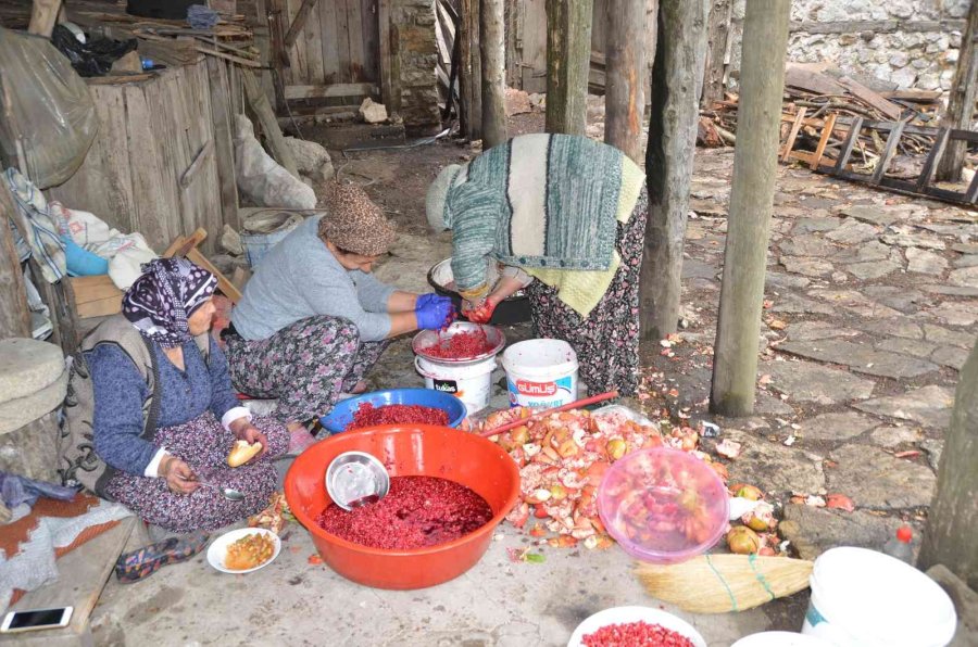 Antalyalı Kadınların Bin Bir Emekle Üretilen Nar Ekşisi Mesaisi Başladı