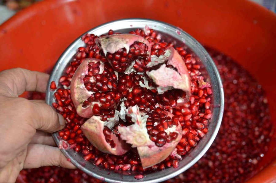 Antalyalı Kadınların Bin Bir Emekle Üretilen Nar Ekşisi Mesaisi Başladı