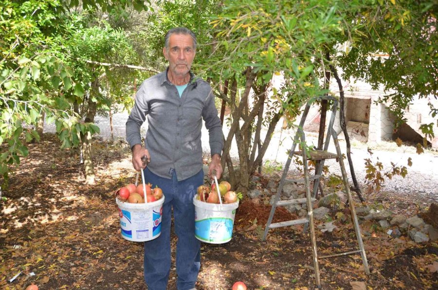 Antalyalı Kadınların Bin Bir Emekle Üretilen Nar Ekşisi Mesaisi Başladı