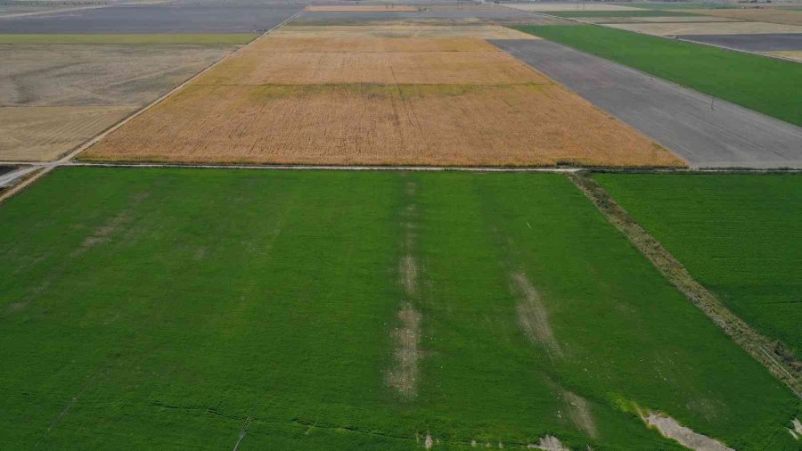 Konya Büyükşehir Belediyesi Arıtma Çamuruyla Çiftçiye Ve Üretime Katkı Sağlıyor