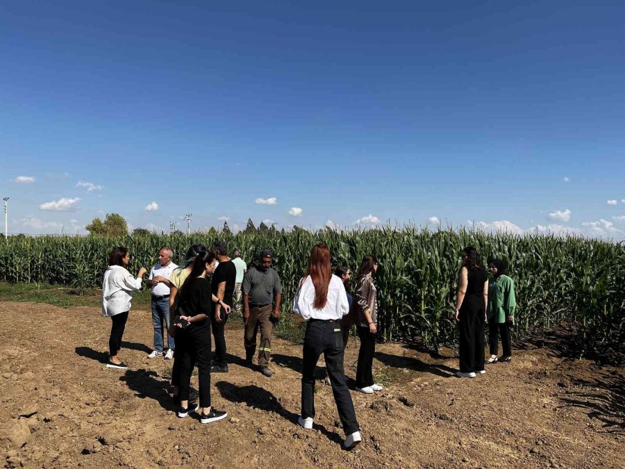 Tarsus’ta Tarımda Verim Arttırma Çalışmaları Sürüyor