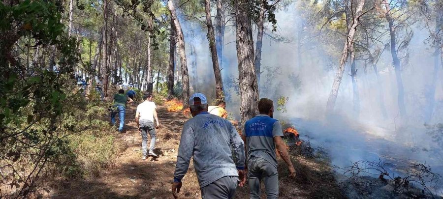 Kumluca’da Orman Yangını Kontrol Altına Alındı