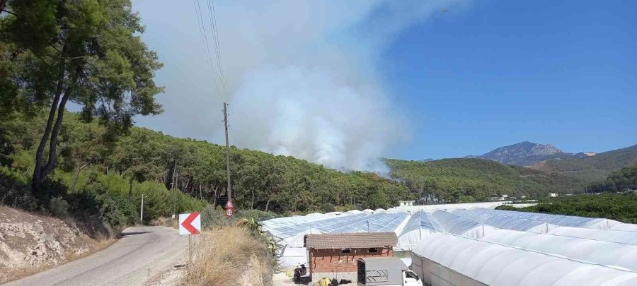 Kumluca’da Orman Yangını Kontrol Altına Alındı