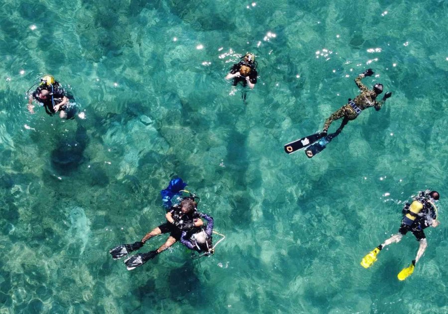 Keşif Dalışında İlk Defa Görüldü: Zehirli Dikenli Çizgili Kedi Balığı Akdeniz’e Yerleşti