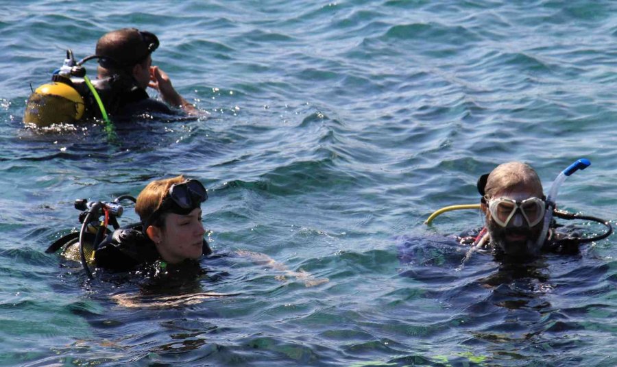 Keşif Dalışında İlk Defa Görüldü: Zehirli Dikenli Çizgili Kedi Balığı Akdeniz’e Yerleşti