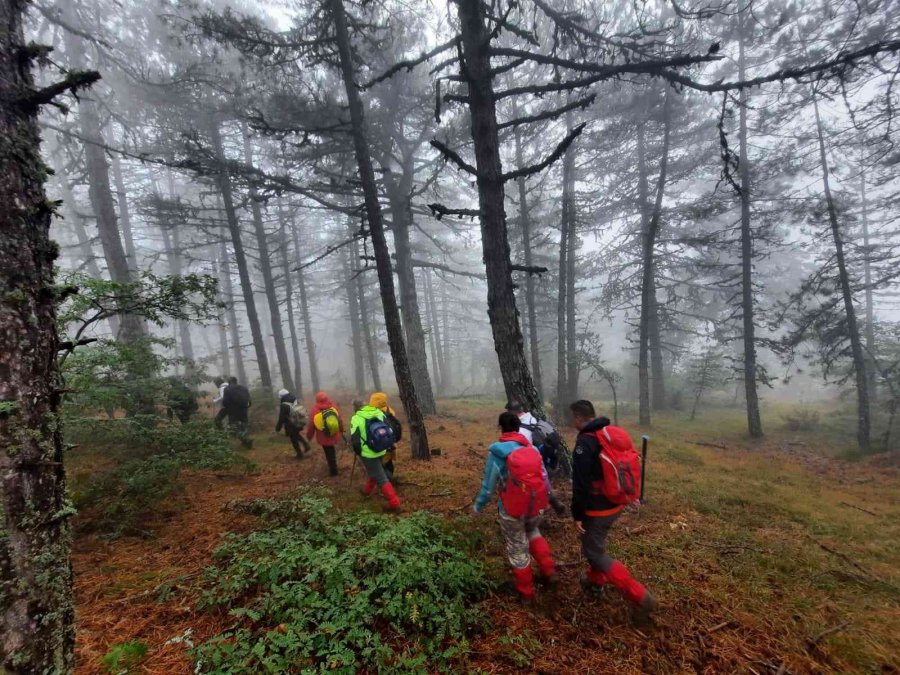 Sonbahar Manzarasında 15 Kilometrelik Doğa Yürüyüşü
