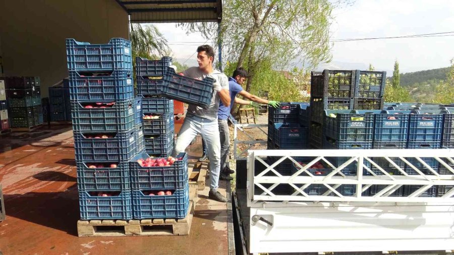 Torosların Lezzetli Kirazı Elektriği Güneş Enerjisiyle Üretilen Soğuk Hava Deposunda Korunuyor