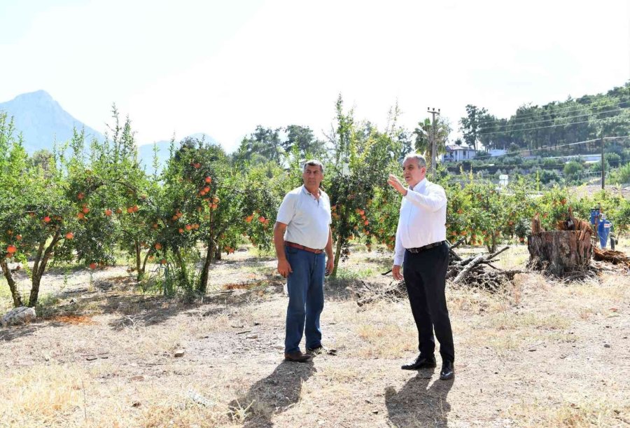 Başkan Esen Kırsal Mahallelerde Vatandaşlar İle Bir Araya Geldi