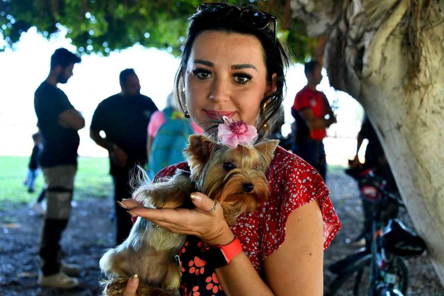 Patifest Herkesi Memnun Etti