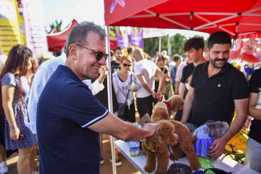 Mersin Pati Festivali Renkli Görüntülere Sahne Oldu