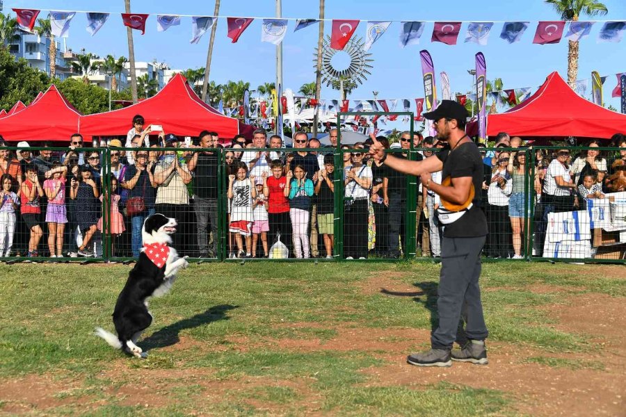 Mersin Pati Festivali Renkli Görüntülere Sahne Oldu