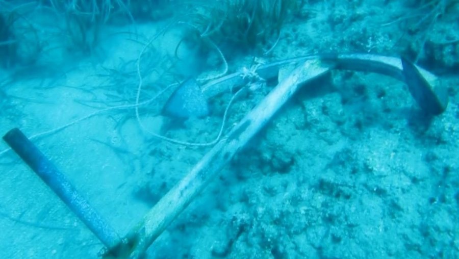 Denizin Amazon Ormanları 7 Yıl İçinde Böyle Yok Oldu