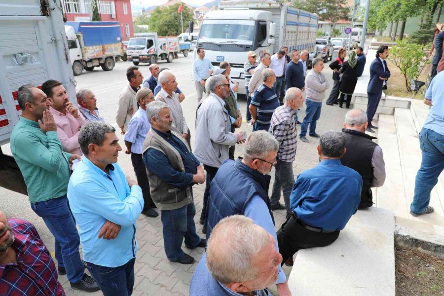 Mihalgazi Ve Sarıkaya Arazileri De Yerli Ve Milli Buğday Çeşidi ‘reis’e’ Kavuştu