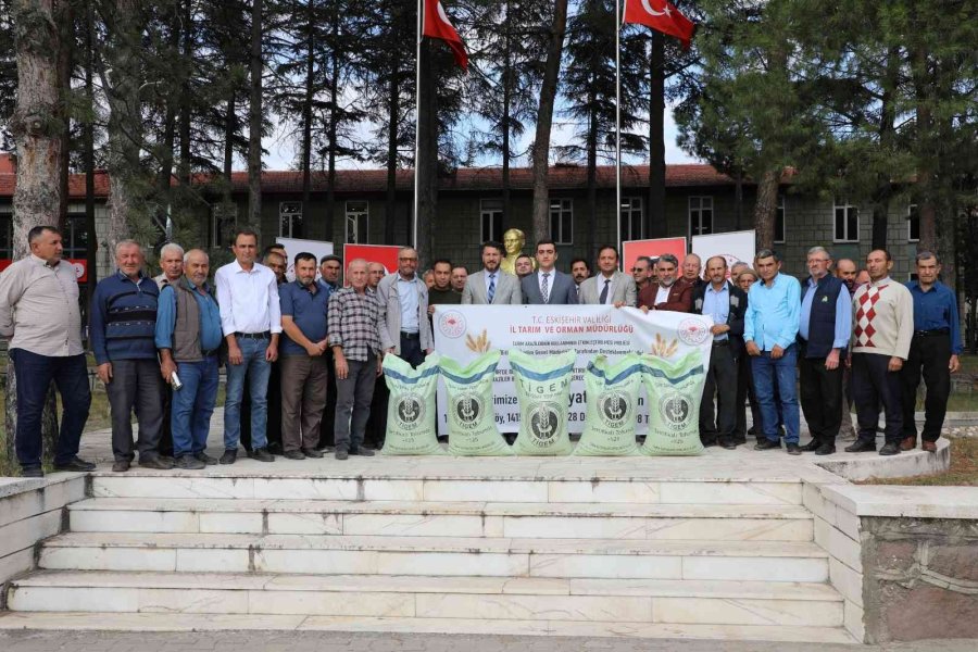 Mihalgazi Ve Sarıkaya Arazileri De Yerli Ve Milli Buğday Çeşidi ‘reis’e’ Kavuştu