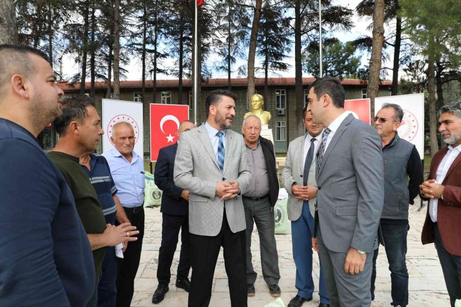 Mihalgazi Ve Sarıkaya Arazileri De Yerli Ve Milli Buğday Çeşidi ‘reis’e’ Kavuştu