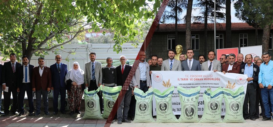 Mihalgazi Ve Sarıkaya Arazileri De Yerli Ve Milli Buğday Çeşidi ‘reis’e’ Kavuştu