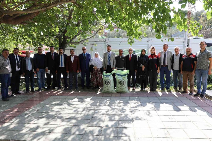 Mihalgazi Ve Sarıkaya Arazileri De Yerli Ve Milli Buğday Çeşidi ‘reis’e’ Kavuştu