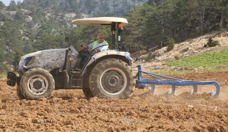 Ücretsiz Tohum Ve Ekimle Toroslar’da Boş Tarlalar Üretime Katılıyor